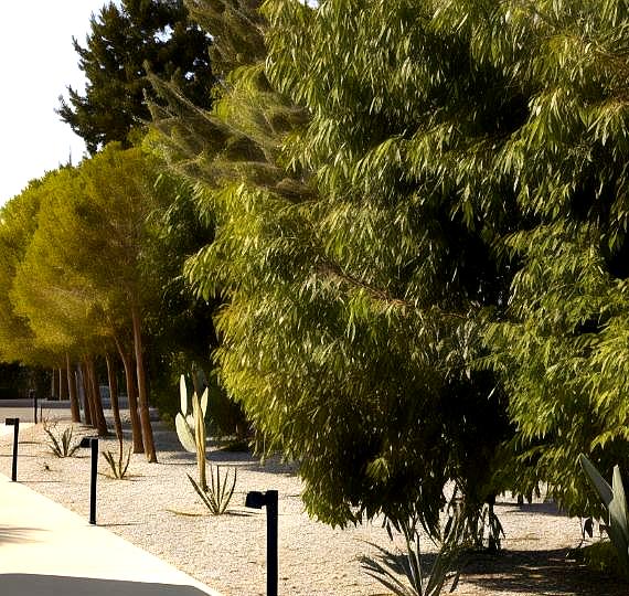 Absolute Kiotari Resort